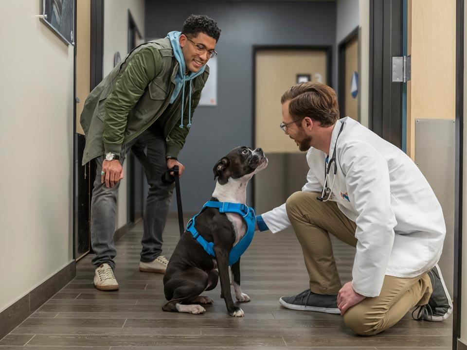  by Banfield Pet Hospital