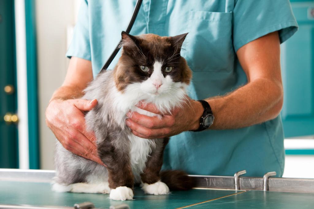  by Banfield Pet Hospital