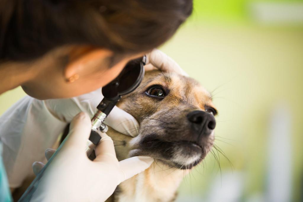  by Banfield Pet Hospital