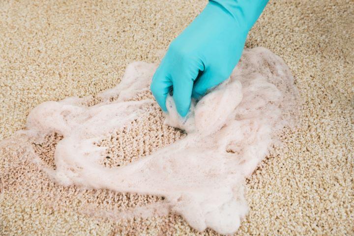  by Kelly-Williamson Expert Rug Cleaning Lexington