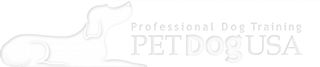 Pet Dog USA