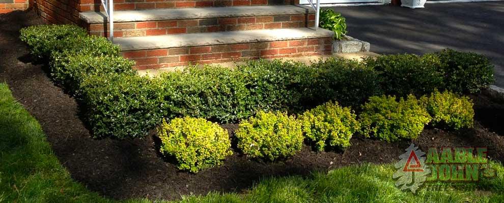 coloredmulchoutlet2 by Colored Mulch Outlet.com