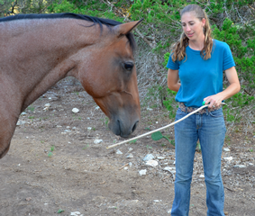 Lydia Bagley Horsemanship