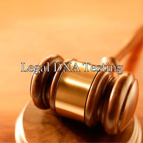 legal-paternity by Test Me DNA