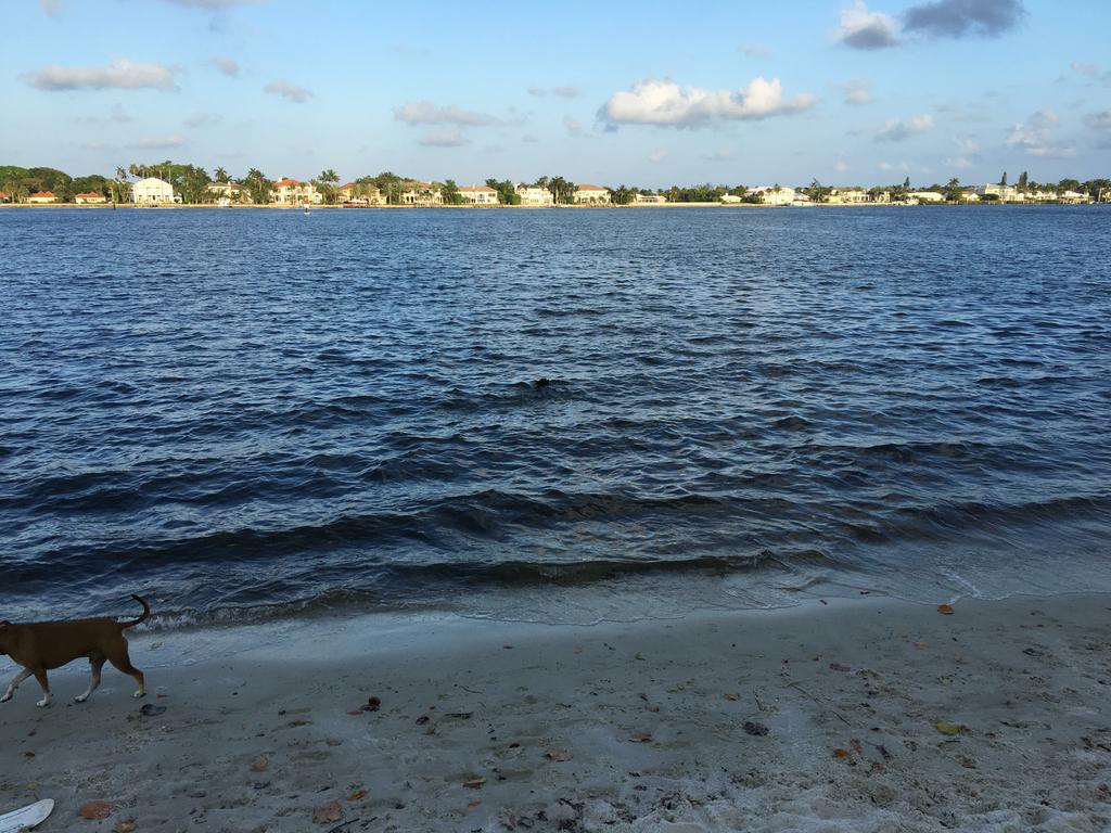 Pictures for Mizner Residential Group in Boca Raton, FL 33432