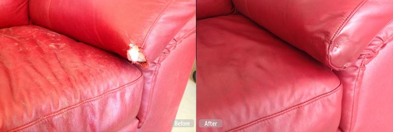 leather furniture pet damage.j by Fibrenew Potomac