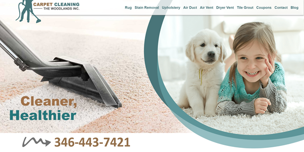  by Carpet Cleaning The Woodlands INC