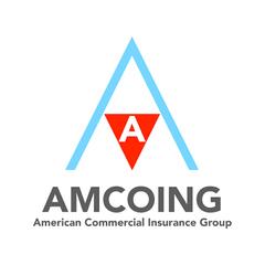 American Commercial Insurance Group