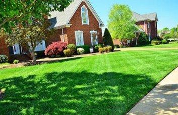  by Hutto Tree and Lawn Services