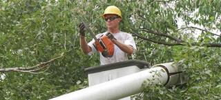 J & M Tree Care, LLC