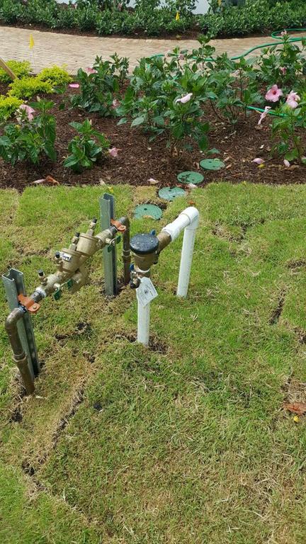 PHOTO by Signature Plumbing
