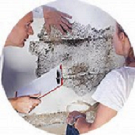 The Inspection by Genesis Home Solutions