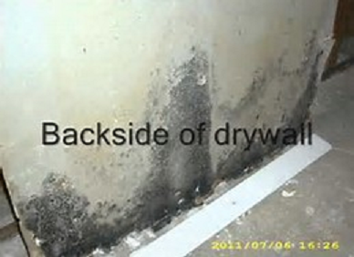 Do you know what's behind Your Sheetrock? by Genesis Home Solutions