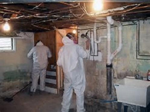 Men at Work by Genesis Home Solutions