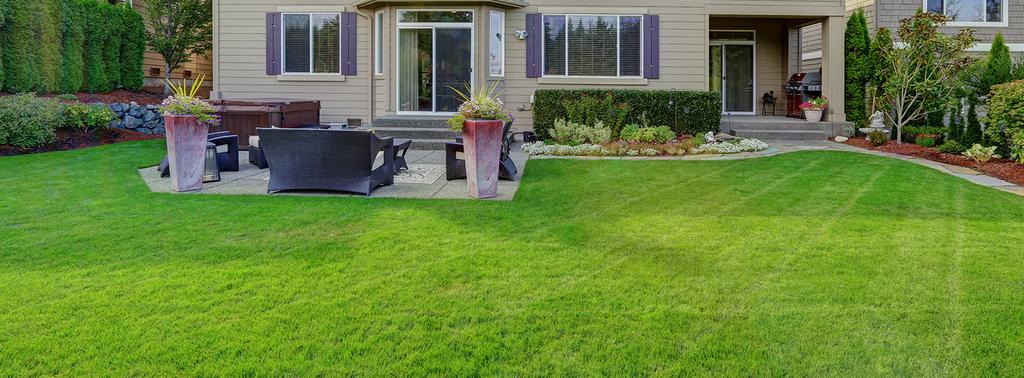  by Morgan's Lawn & Landscape