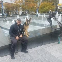 Down Boy Down K9