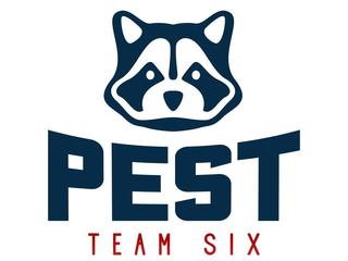 Pest Team Six Utah