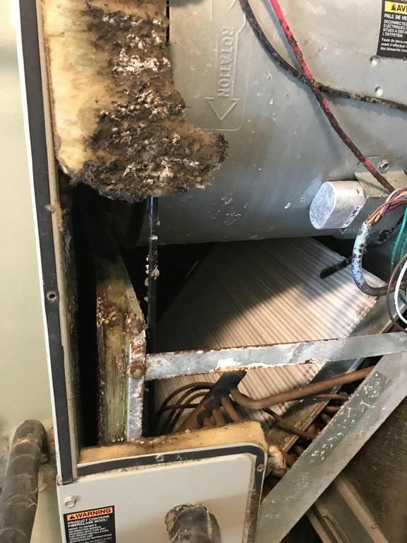 This image shows the interior of an AC unit, revealing significant dirt, mold, and rust. Insulation is degraded, and coils appear grim-covered. The "ROTATION" arrow and exposed wiring highlight neglected internal components, illustrating poor air quality and system inefficiency. by Speedy AC Duct Cleaning Service