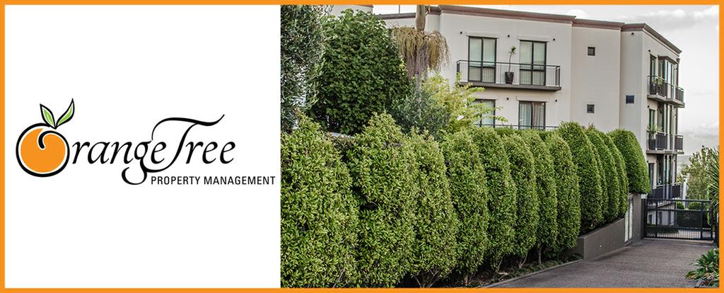 Pictures for Orange Tree Property Management. in Redlands, CA 92373