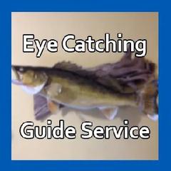 Eye Catching Guide Service