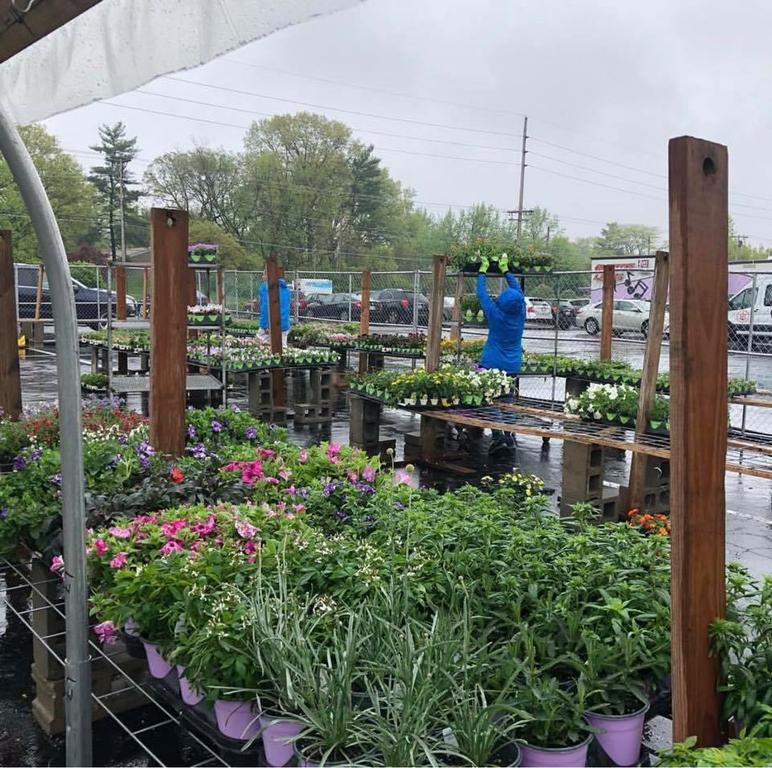 Plants a' plenty at our Olivette location! from Planthaven