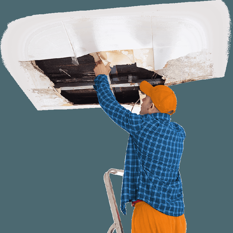  by Water Damage and Roofing of Cedar Park