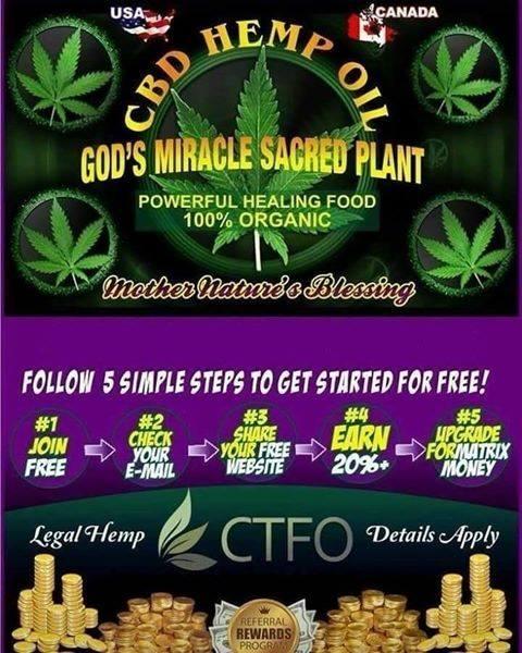  by DizzySpellz CTFO