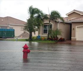 disaster cleanup near me