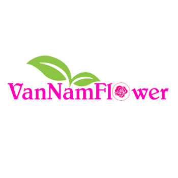  by Hoa Tươi Văn Nam