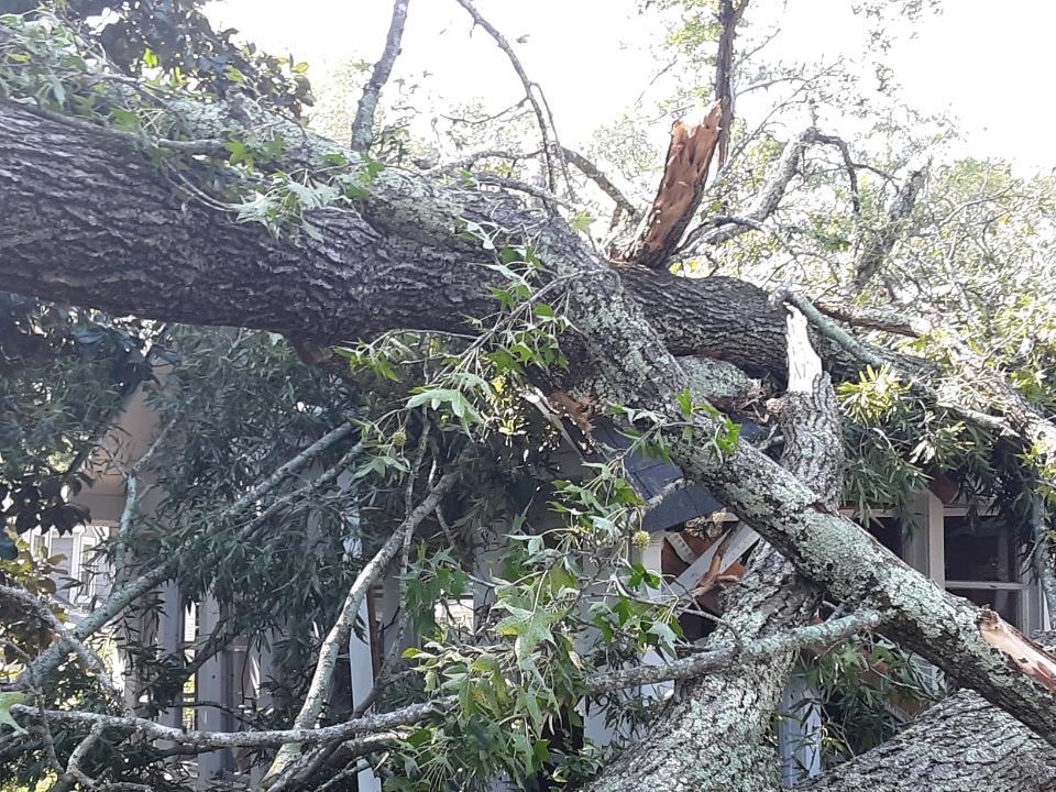  by Cobb Tree Removal, LLC