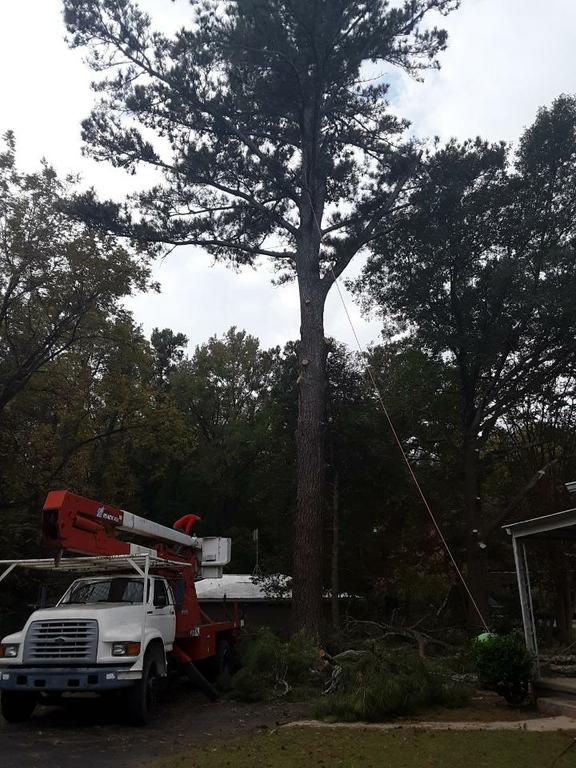 by Cobb Tree Removal, LLC