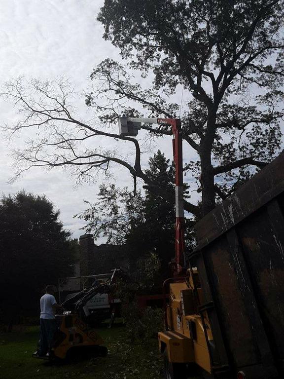  by Cobb Tree Removal, LLC