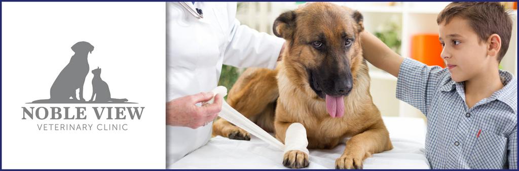  by Noble View Veterinary Clinic
