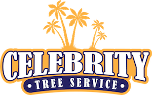 Celebrity Tree Service