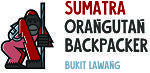 Sumatra Orangutan Backpacker 