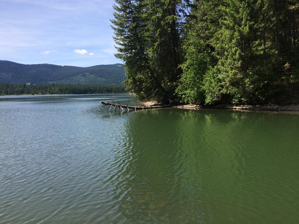 Thompson Falls, MT Merchants, Reviews, Photos, Coupons, Blogs