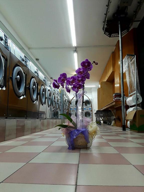 Laundry Project 23 Inc New York NY 10011 6468239449