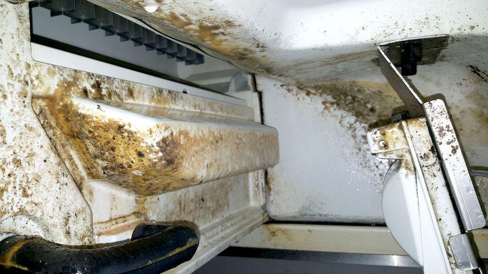 MAXX Ice Systems Alliance OH 44601 3308215480 Appliances