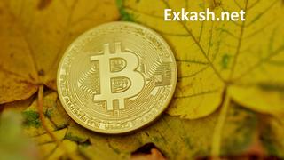 Exchange Bitcoin To Bank 