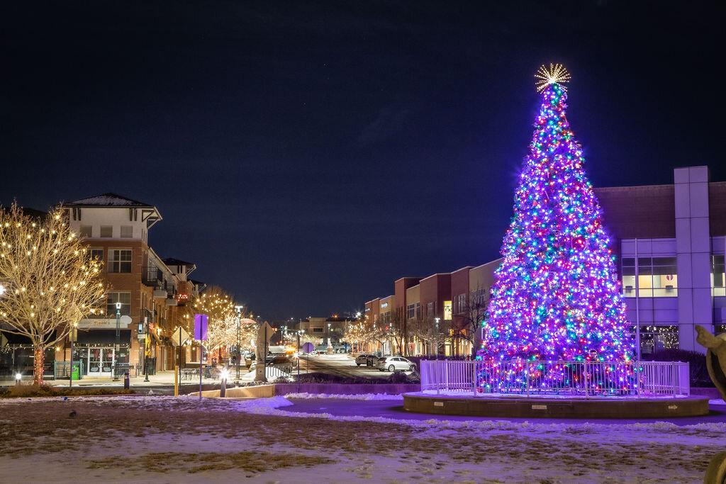  by Colorado Christmas Lights