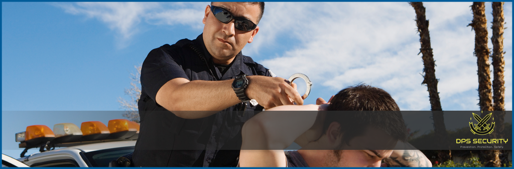  by DPS Security