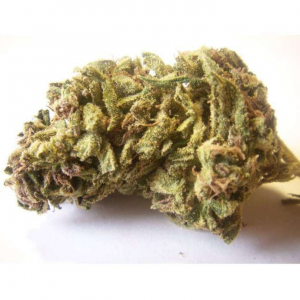  by Order Blue Dream Wax Online from Leaf Domicile