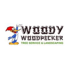 Pictures for Woody Woodpecker Tree Service in Brooklyn, NY 11229