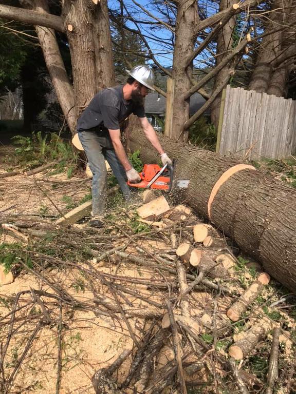 Pictures for Walker's Tree Service LLC in Shasta Lake, CA 96019