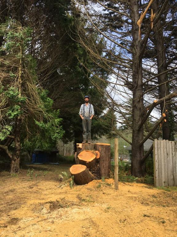 Pictures for Walker's Tree Service LLC in Shasta Lake, CA 96019