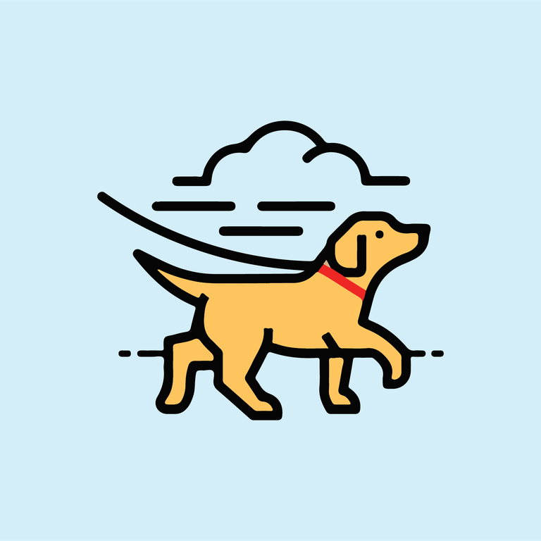 Pluto's Pals Pet Care