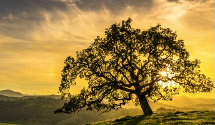  by Golden State Urology