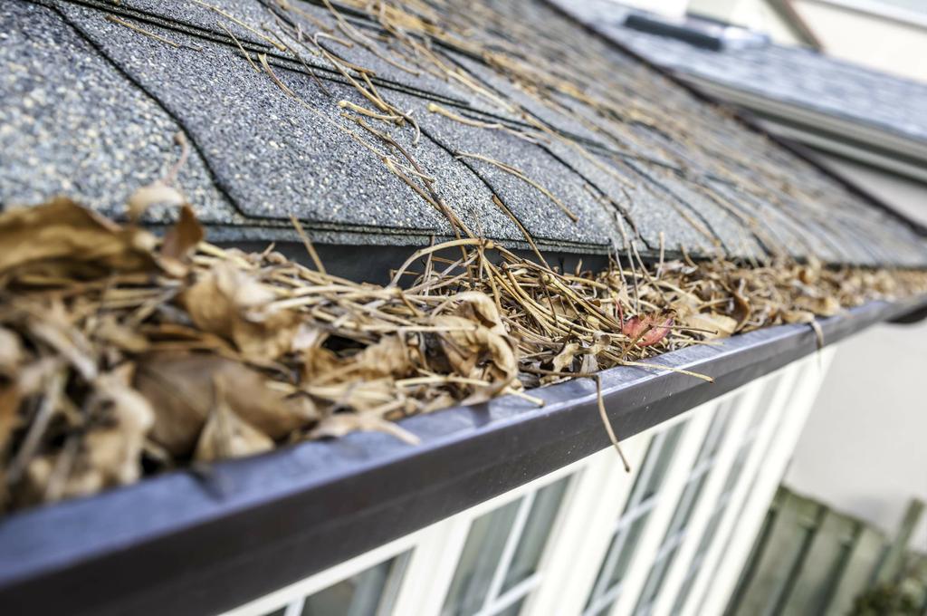  by Clean Pro Gutter Cleaning Norfolk
