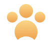CheetahPapers.com