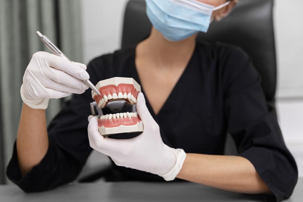 close-up-dentist-holding-teeth-model by Distinctive Dentistry